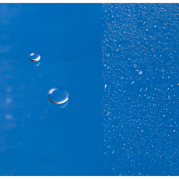 Douche en verre trempé (HR-229C)