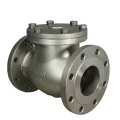 Cast Iron ANSI Check Valve