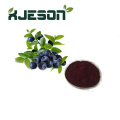 Best quality Blueberry extract