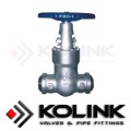 Joint de pression/Gate Valve BW fin