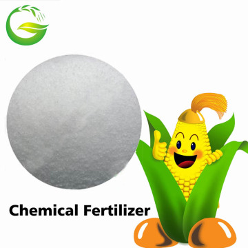 Sop  Fertilizer