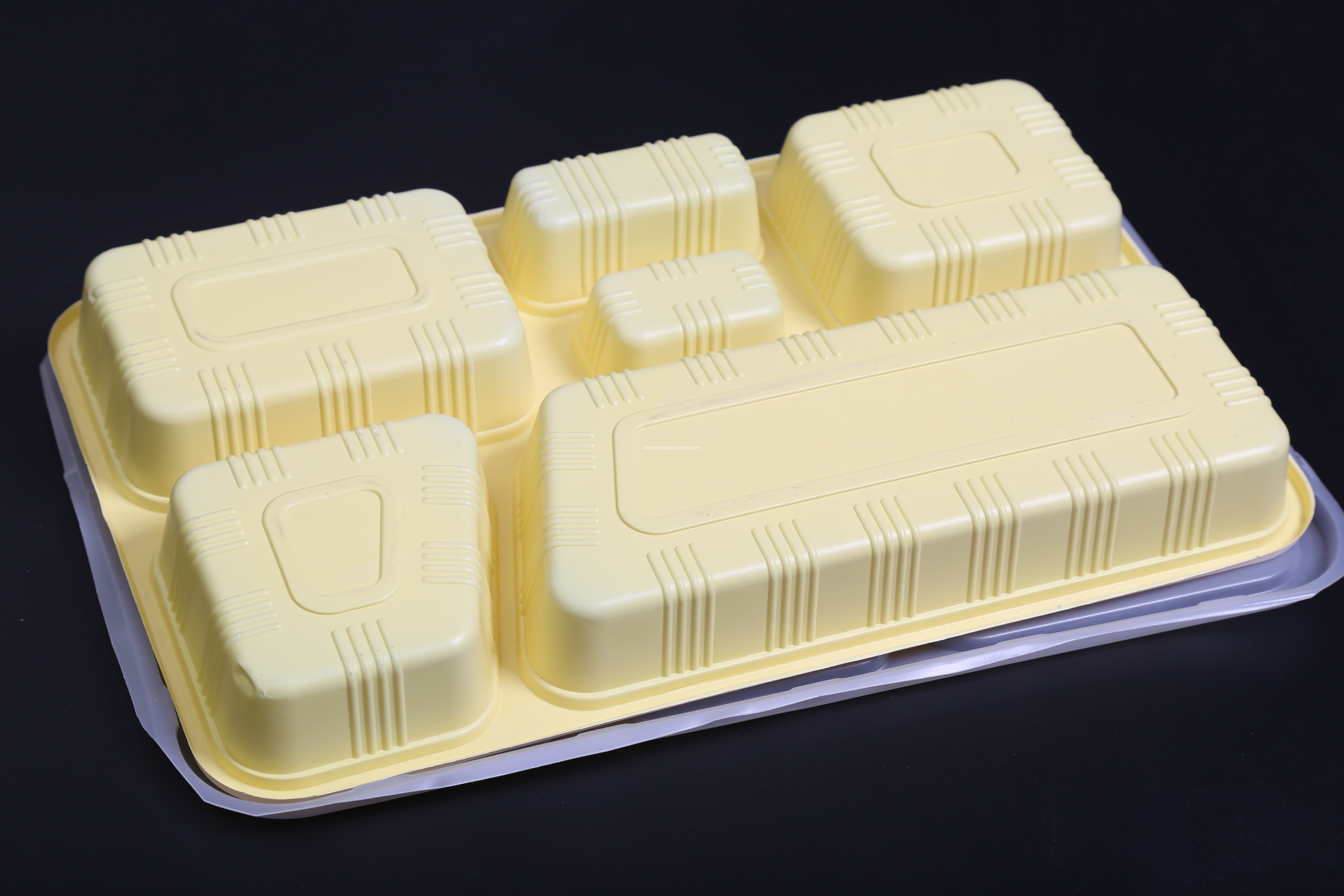 6 compartment food tray