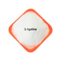 Buy online active ingredients L-Lysine powder