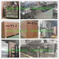 Double Screw Puffed Corn Extruder Production Line