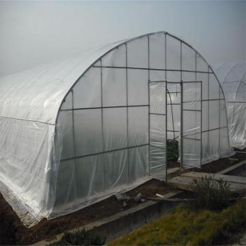 Serre de film plastique de tunnel utilisée pour la culture de légumes et de fruits et d&#39;autres aquacultures