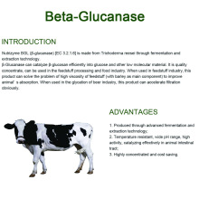 Feed Beta glucanase enzyme