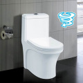 Китай Производитель One Piece Double Flushing Toilet