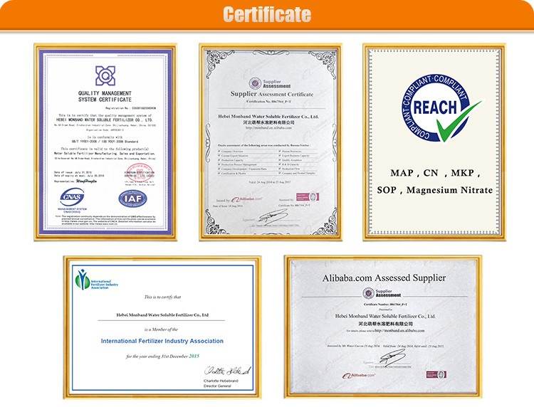 calcium magnesium nitrate certificate