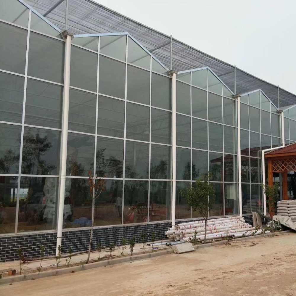 Venlo Glass Greenhouse Venlo Glass Greenhouse