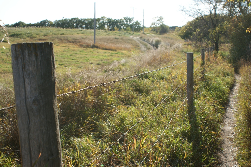 Barbed Wire Fence