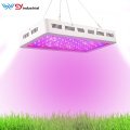 1200W Grow Lights for hydroponic plant growth