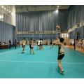 PVC Volleyball Court Flooring Tiles