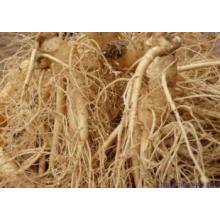 (GINSENG EXTRACT) Cosmetic Grade Ginseng Extract