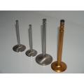 Quality Engine Parts for VOLKSWAGEN Engine Valve