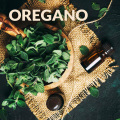 Whosale Essential Product Pure Oregano Oil