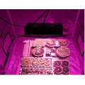 led 1000w grow light uk hydroponic