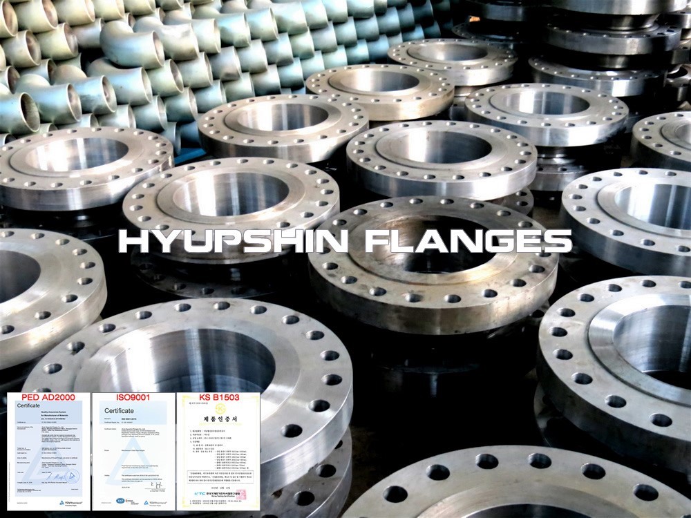 Hyupshin Flanges Ansi 1647 Wnrf