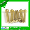 Brass Patinted Knurled Head Phillips Screw