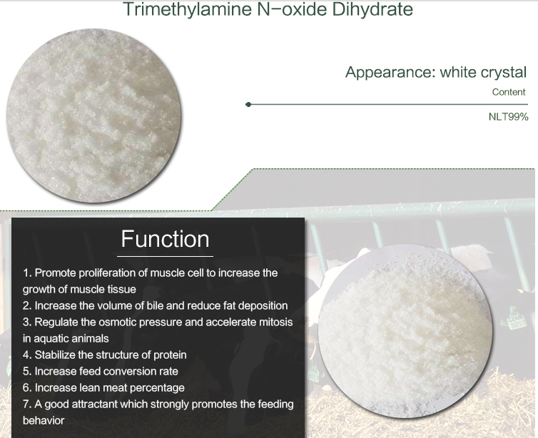 Tmao Trimethylamine N Oxide Dihydrate