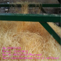 Wood Wool Shaves Machine for Animal Bed Making