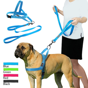 Dog Harness Leash Set Pet Vest Lead