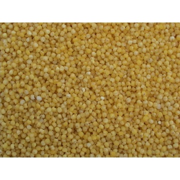 Chinese Yellow Millet