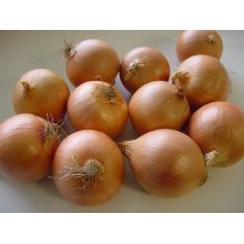 Export New Crop Fresh Good Quality Yellow Onion