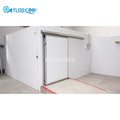 Frozen Food Cold Storage Room