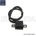 Am6 engine Ignition Coil(P/N:ST03006-0009) top quality