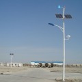 Vertical Wind Turbines Hybrid Solar Power Street Lighting