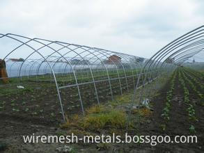 galvanized steel pipe for greenhouse (4)