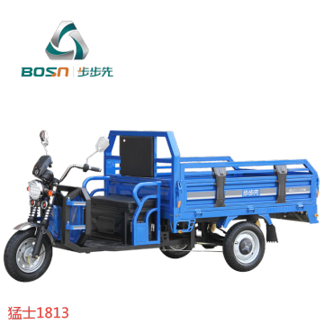 Cargo Electric Tricycles Electric 2021 New Arrival