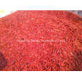 New Crop Hot Red Chilli for Exporting