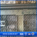 Galvanizado e Revestido de PVC Hexagonal Wire Mesh