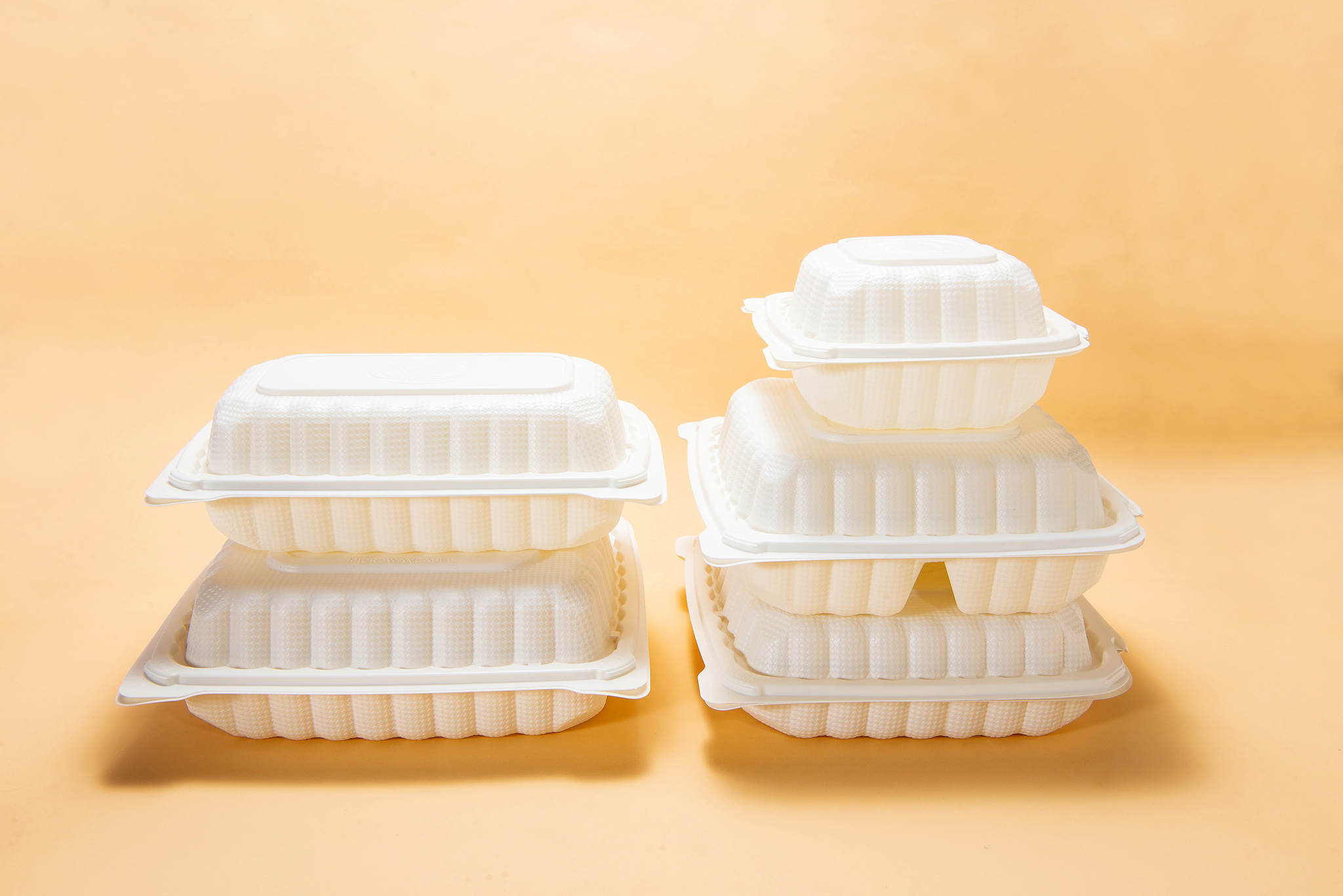 Disposable lunch boxes for takeout in restaurants