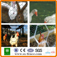 clôture de treillis métallique de poulet et de lapin