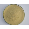 Echinacea Purpurea Extract Powder