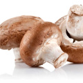 Extracto de hongo shiitake natural de mejor calidad 50% Lentinan