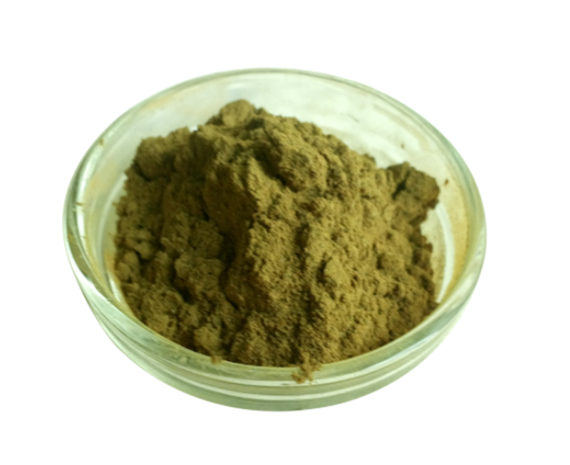 Hericium Mushroom Extract