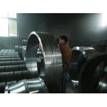 Crb Cylinderical Roller Bearing of Zgxsy Brand Supplied by Xsy Bearing