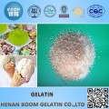 100 bloom granular gelatin