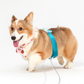 Analyseur Quantum pour Scanner PET Chien Chat