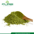 100% Natural Moringa Leaf Powder GMO-Free