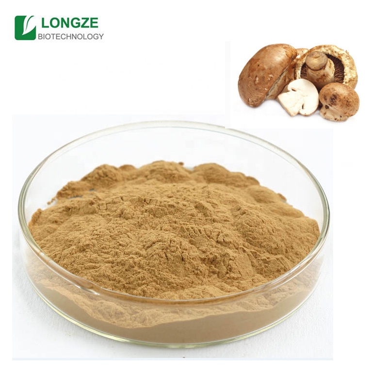 Shiitake Mushroom Extract Powder