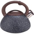 Black Frosted Stainless Steel Whistling Water Kettle