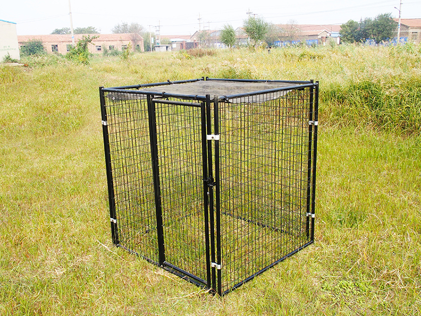 metal outdoor kennel