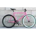 Belt Driven Alloy Fixie Bike