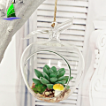 Wholesale Apple Shaped Glass Hanging Air Plant Terrarium