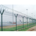 Hot Dipped Galvanized Double Barbed Wire Fence