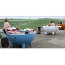 Fiberglass SPA SPA Massage SPA Pool